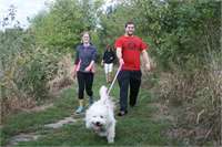 training pic 4 - winnie at pack walk